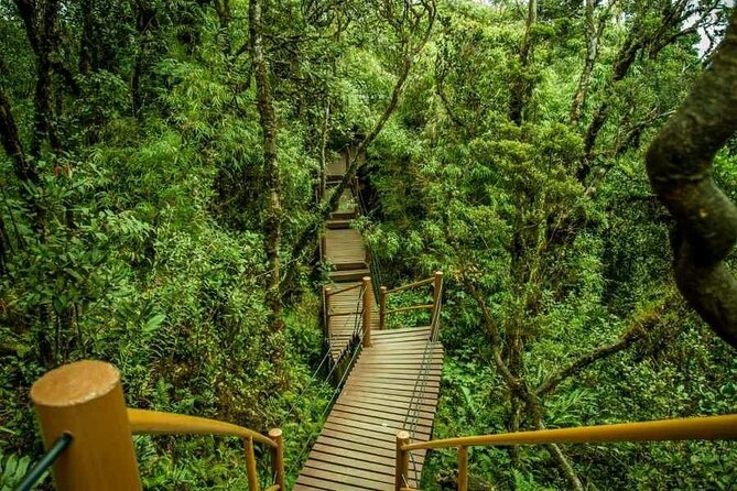 Cameron Highlands Full-Day Tour from Ipoh with Lunch - Quick points before you book