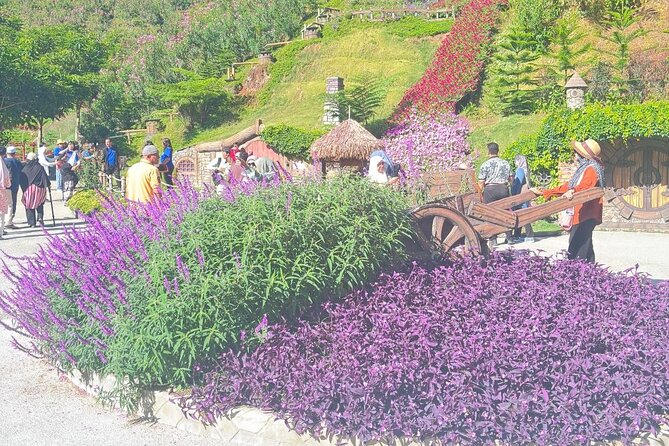 Cameron Highlands Full-Day Tour from Ipoh with Lunch - Sam Poh Temple above Brinchang