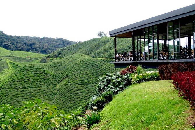 Cameron Highlands Full-Day Tour from Ipoh with Lunch - Cameron Bharat Tea Estate and the return via Lata Iskandar