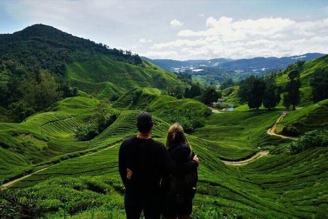 Cameron Highlands Full-Day Tour from Ipoh with Lunch - The mountain road and the value of private transport