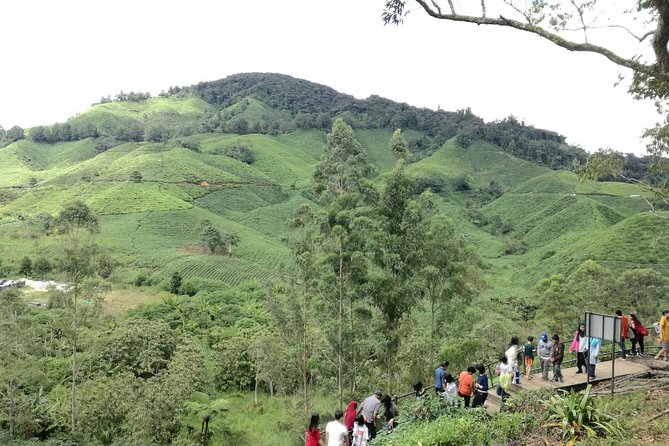 Cameron Highlands, Garden of Nature Full Day Private Guided Tour - Steam-boat lunch at the mountain resort