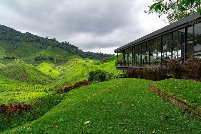 Cameron Highlands One Day Trip from Kuala Lumpur Privately Organised - Why This One-Day Escape Works
