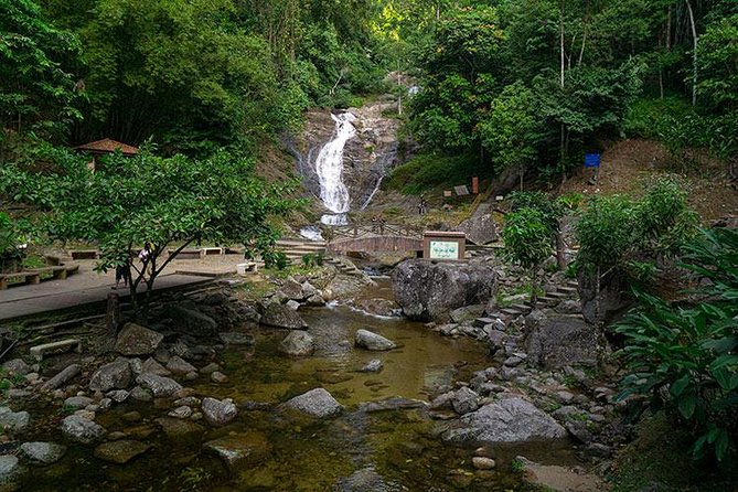 Cameron Highlands One Day Trip from Kuala Lumpur Privately Organised - The Long Road From Kuala Lumpur