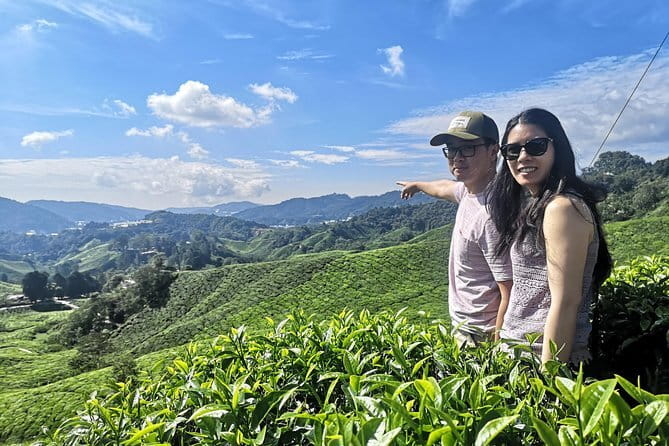 Cameron Highlands Private Day Tour from Ipoh, Package B - Cameron Valley Tea offers a different tea experience