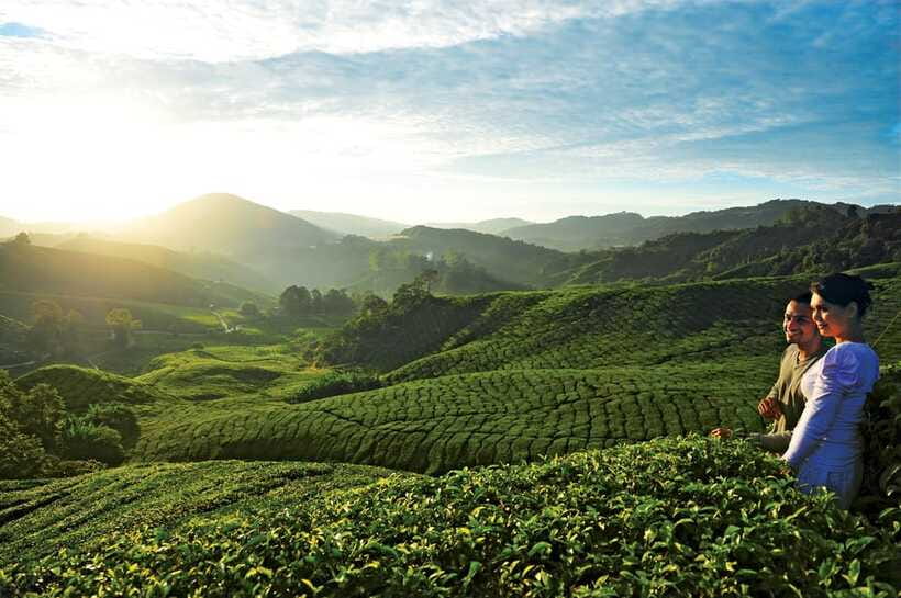 Cameron Highlands Private Day Tour from Kuala Lumpur - Who will enjoy this day trip most?