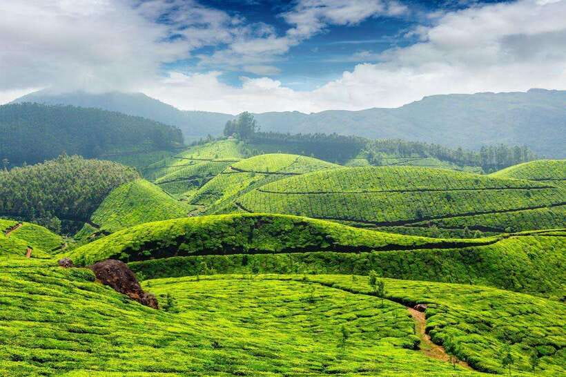 Cameron Highlands Private Day Trip - Lata Iskandar Waterfall offers a quiet first stop