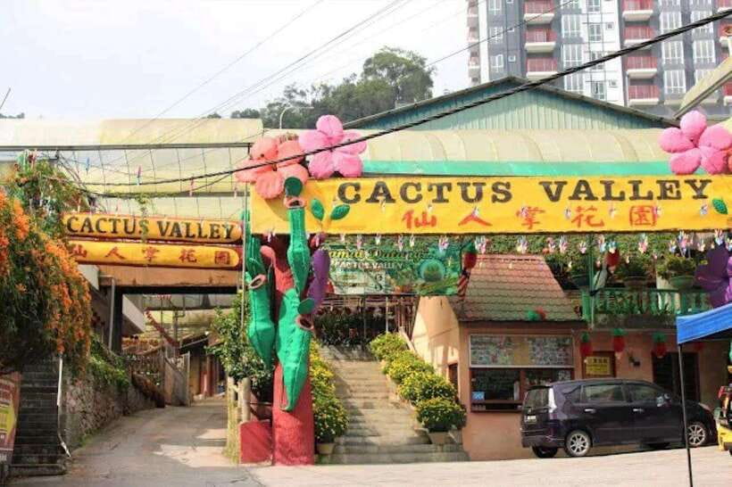 Cameron Highlands Private Day Trip - Should you book it?