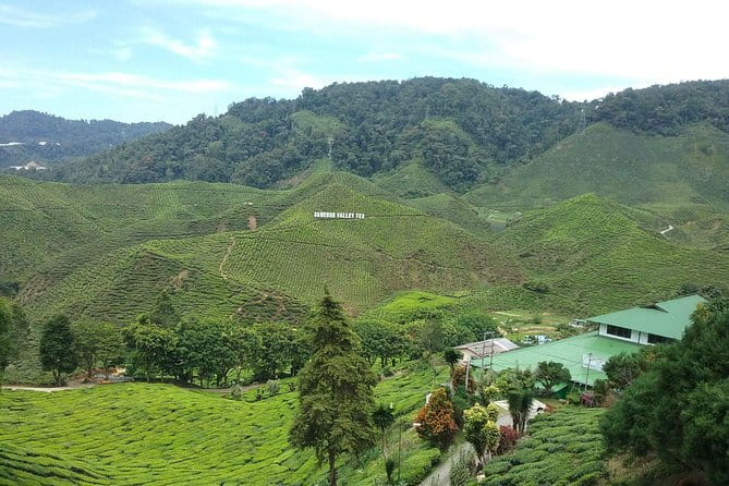 Cameron Highlands Sightseing Tour - Key points to know before booking