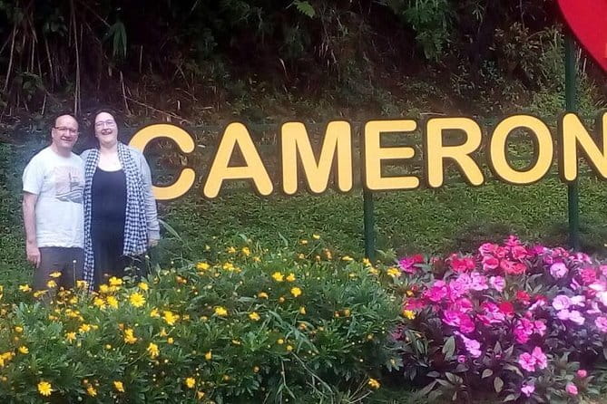 Cameron Highlands Sightseing Tour - Honeybees, butterflies, and the farm attraction circuit