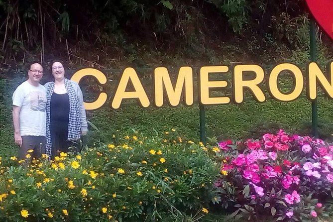 Cameron Highlands Sunrise Discovery - Walking through Mossy Forest after first light