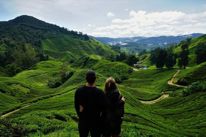 Cameron Highlands Tour from Kuala Lumpur - Why Cameron Highlands works as a day trip from Kuala Lumpur