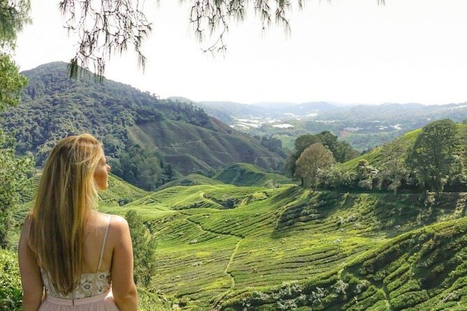 Cameron Highlands Tour from Kuala Lumpur - Lunch depends on the booking type