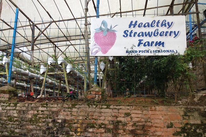 Cameron Highlands Tour From Kuala Lumpur (Private Tour) - Tanah Rata and Cameron Valley