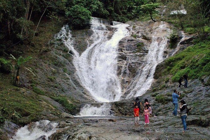 Cameron Highlands Tour on Private Basis - Butterfly and insect gardens for a closer look at nature