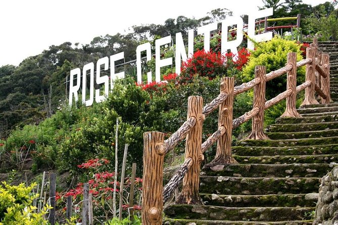 Cameron Highlands Tour on Private Basis - Vegetable farms, markets, honey, and cactus gardens