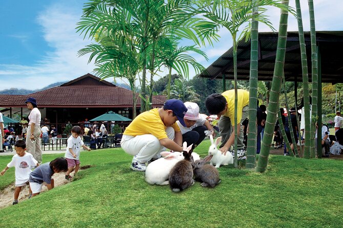 Colmar Tropicale and Batu Caves Day Trip (SIC - Join In Tour) - What the driver-guide setup means for you