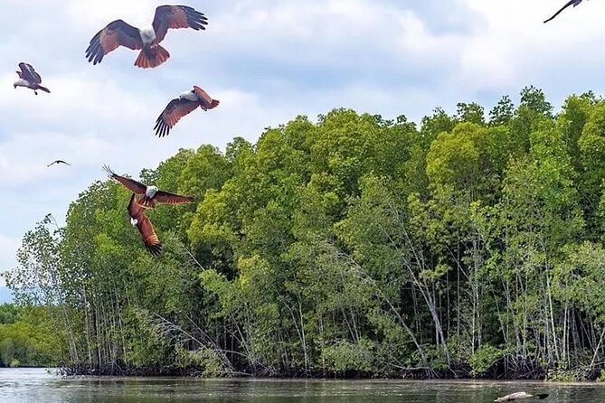 Combo - Cable Car & Sky Bridge And Tg. Rhu Mangrove Private Boat Tour With Lunch - Lunch beside the mangroves