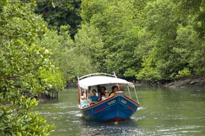 Combo - Cable Car & Sky Bridge And Tg. Rhu Mangrove Private Boat Tour With Lunch - Riding the Skycab up Mt. Machinchang