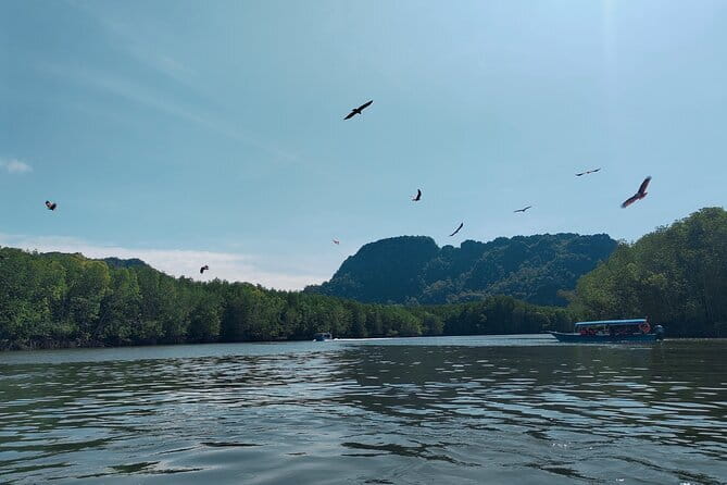 Combo Langkawi Cable Car & Sky Bridge With Mangrove Private Boat - Walking the 125-metre Sky Bridge