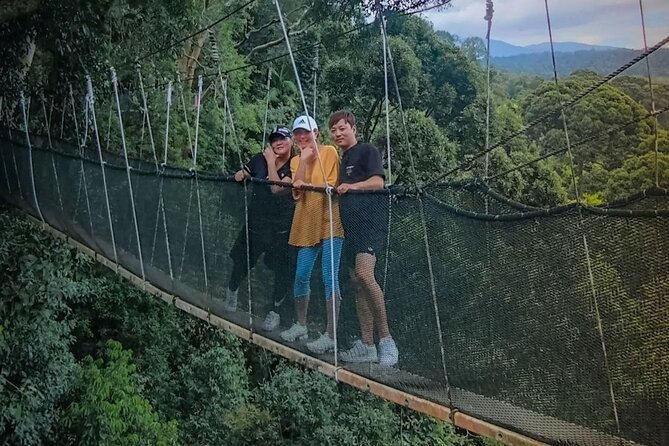Day Trip to Kinabalu Park and Poring Hot Spring Guided Tour - A long road to Kinabalu Park and Poring
