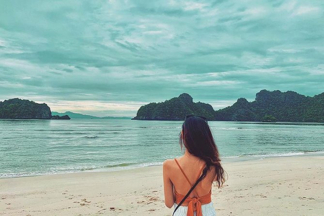 Discover Langkawi Like a local Include Mangrove Tours - A full day that connects Langkawi’s coast, forest, and culture
