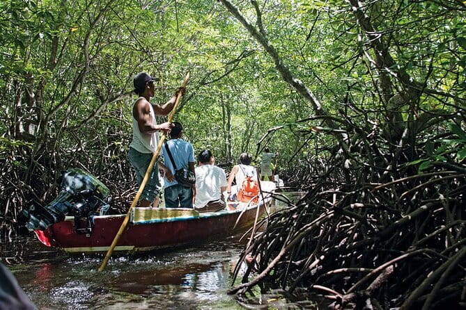 Discover Mangrove Forest and Cave Tour in Langkawi (Shared Tour) - Why the Kilim River is worth your morning