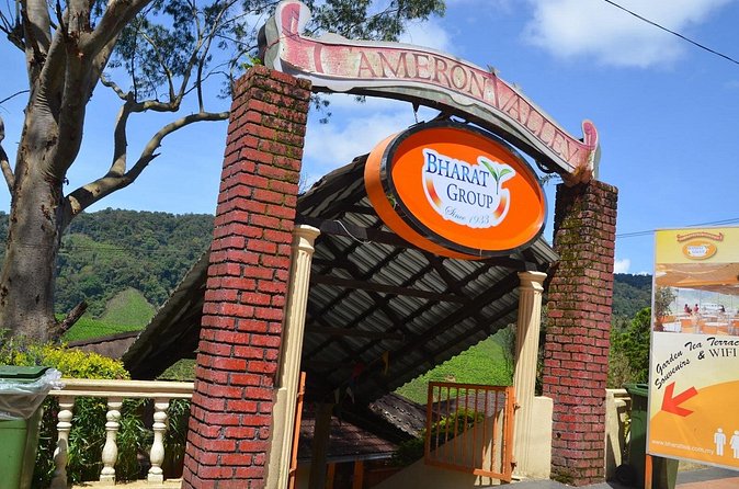 Elevate Your Senses: A Day of Wonders in Cameron Highlands! - The Pace, Comfort, and Private Format