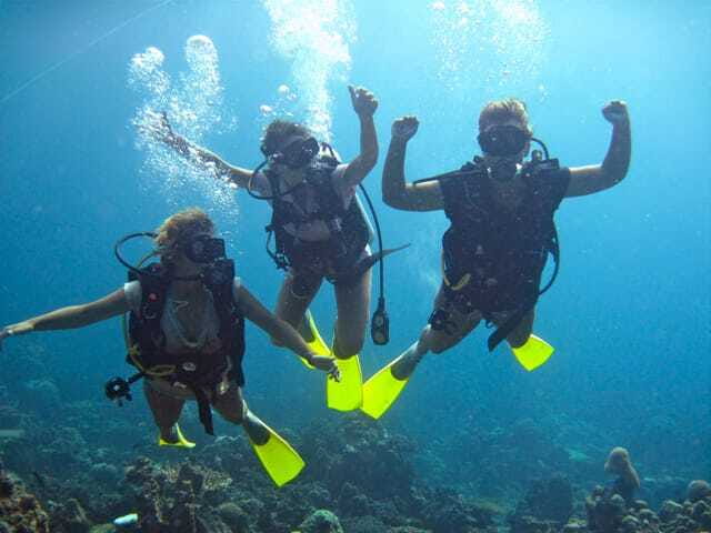 Enjoy 3 Fun Dives in Kota Kinabalu | Certified Divers - Key points to know before booking