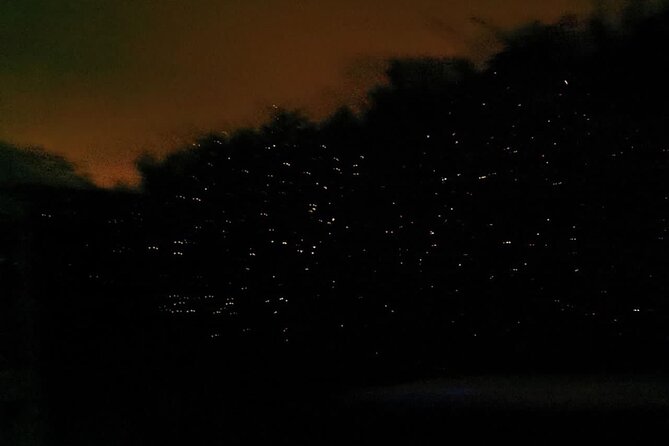 Fireflies & Silver leaf monkey Gazing tour - Blue Tears and eagle feeding are extras