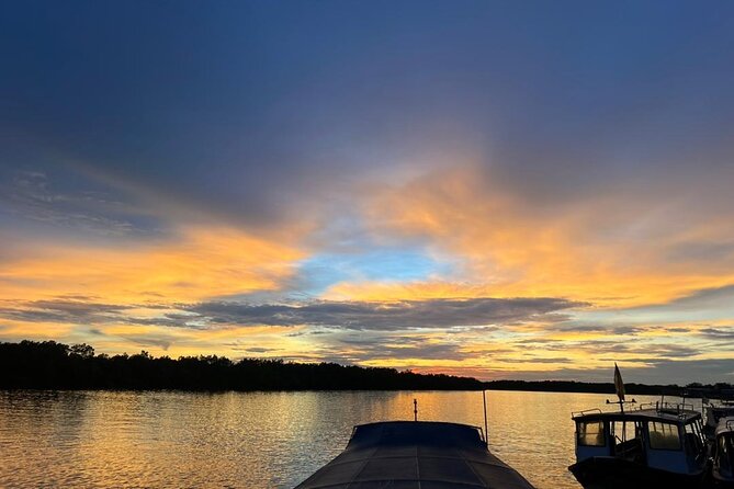 Fireflies & Silver leaf monkey Gazing tour - The guide can make or break the evening