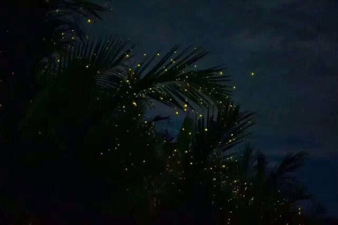 Fireflies & Silver leaf monkey Gazing tour - Sri Shakti Temple: a quick first stop