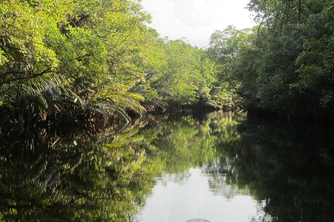 Fireflies Tour in Cherating - Cherating Firefly Tour at a Glance