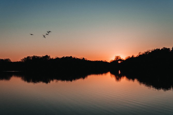 Fireflies Tour in Cherating - A Dark River Ride With Tiny Lights