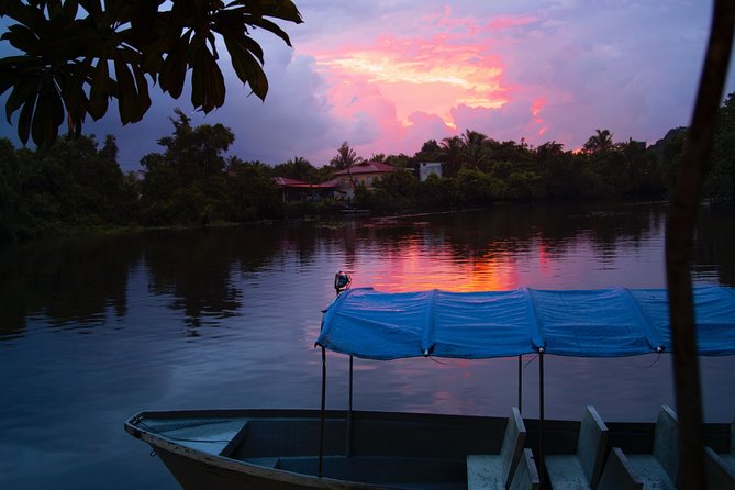 Fireflies Tour in Cherating - How the Guide Draws Fireflies Toward the Boat