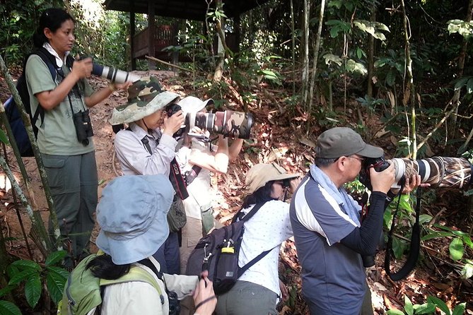 Fraser's Hill Bird-Watching & Nature Sightseeing Tour from Kuala Lumpur - Practical advice for making the morning work