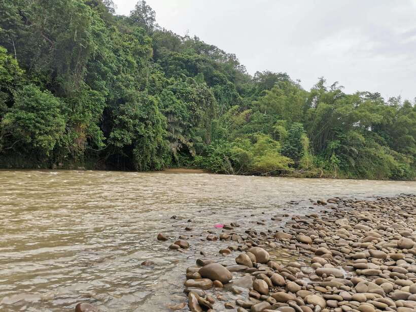 From Kota Kinabalu : Kiulu White Water Rafting Tour + meal - Who will enjoy Kiulu most