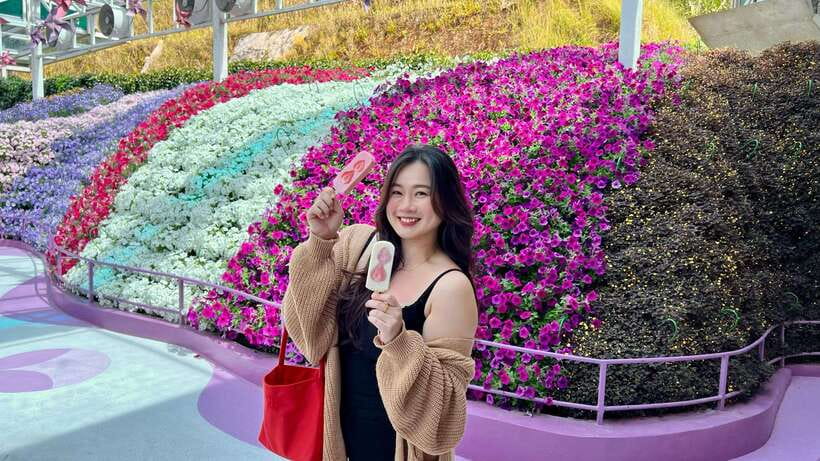 From Kuala Lumpur: Cameron Highlands Day Tour with Lunch - Is $95 good value for a full day?
