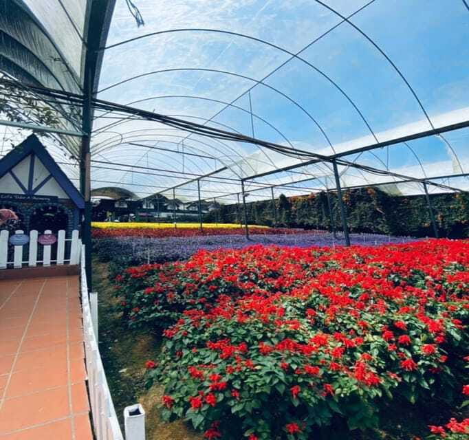 From Kuala Lumpur: Cameron Highlands Day Trip with Transfers - What the schedule really feels like