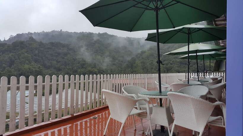 From Kuala Lumpur: Cameron Highlands Full-Day Tour - The long climb from Kuala Lumpur to cooler Cameron Highlands