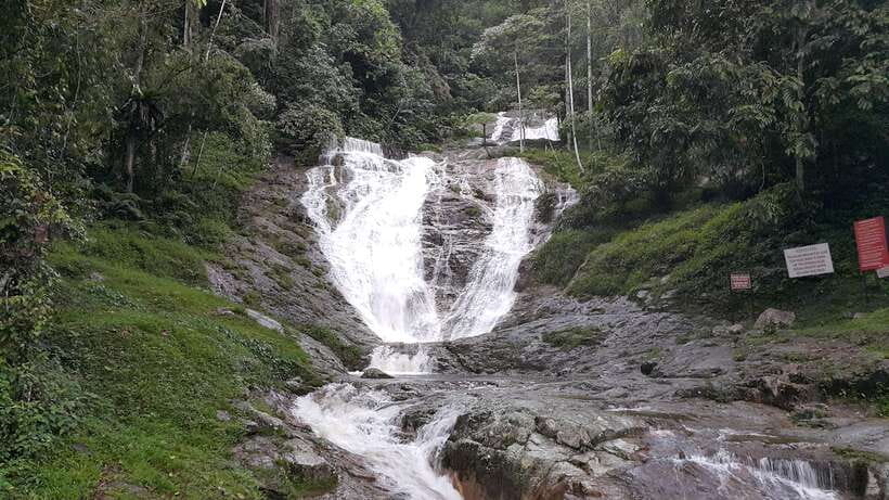 From Kuala Lumpur: Cameron Highlands Full-Day Tour - What $146 buys you