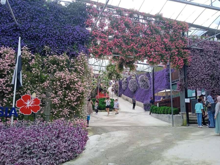 From Kuala Lumpur: Cameron Highlands Private or Join In Tour - Key points at a glance