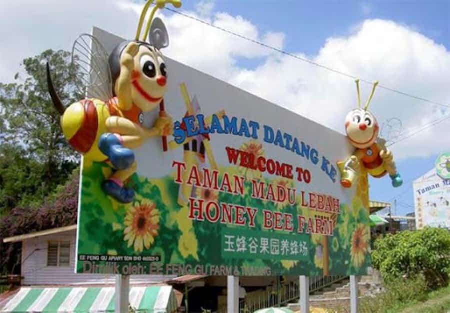 From Kuala Lumpur: Cameron Highlands Private or Join In Tour - Strawberry picking and the limits of a packed itinerary