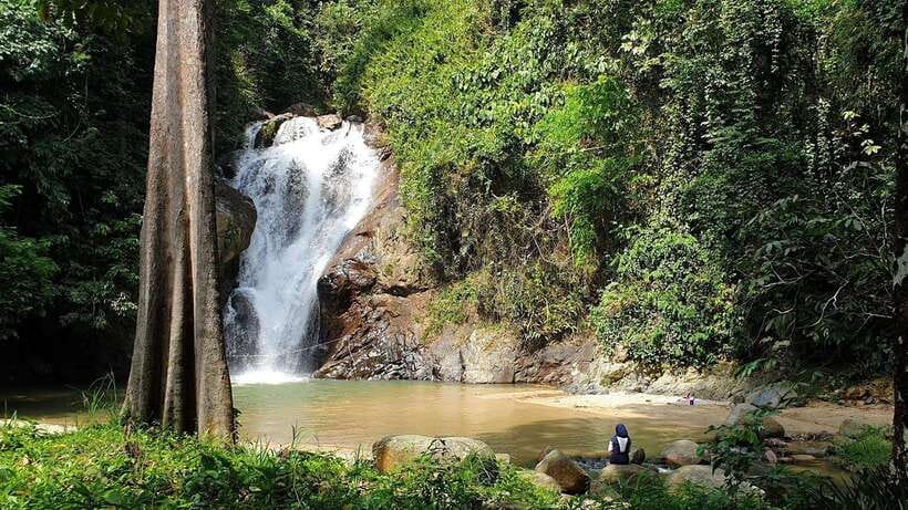 From Kuala Lumpur: Elephant Sanctuary Guided Tour - Key points to know before you go