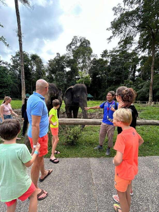 From Kuala Lumpur: Elephant Sanctuary Guided Tour - Two hours with rescued Asian elephants