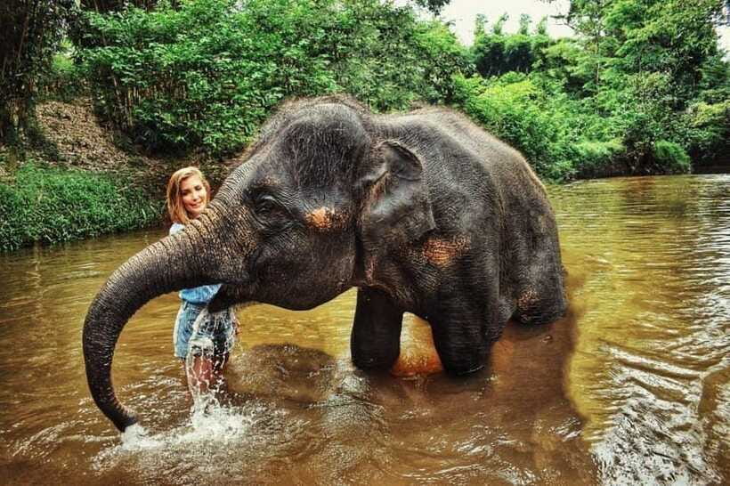 From Kuala Lumpur: Elephant Sanctuary Guided Tour - The Pahang waterfall stop