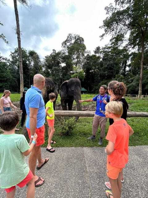 From Kuala Lumpur: Elephant Sanctuary Guided Tour - What the guides add to the day