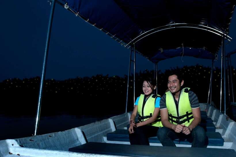 From Kuala Lumpur: Fireflies Tour and Seafood Dinner - Key points to know before you book
