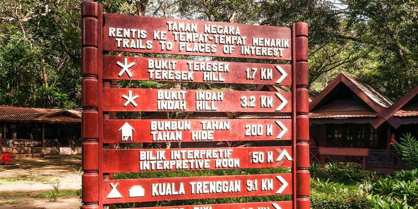 From Kuala Lumpur: Full-Day Taman Negara National Park - Physical effort, weather, and what to pack