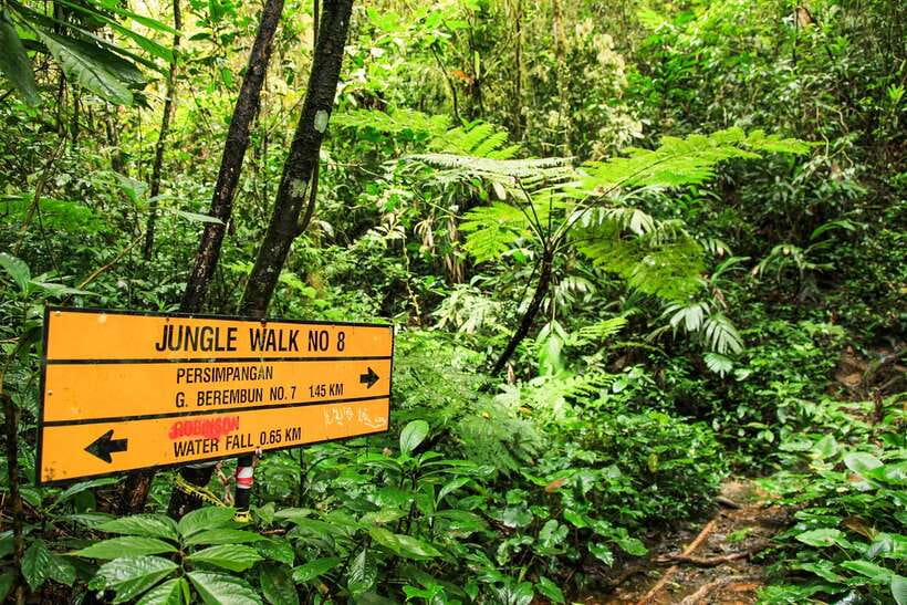 From Kuala Lumpur: Full-Day Taman Negara National Park - The return drive to Kuala Lumpur