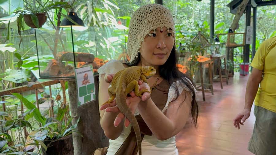 From Kuala Lumpur: Kuala Gandah Elephant Sanctuary Day Trip - The elephant show and lunch break